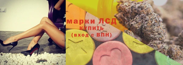 амф Богданович
