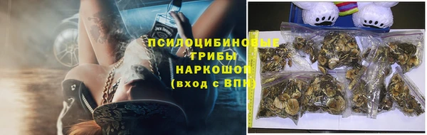 COCAINE Богородск