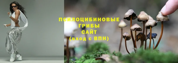 COCAINE Богородск