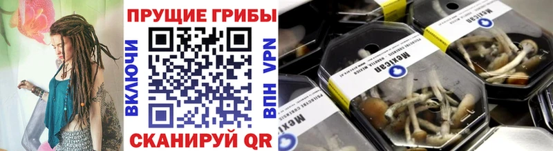 сайты даркнета официальный сайт  Горняк  Галлюциногенные грибы Psilocybine cubensis 