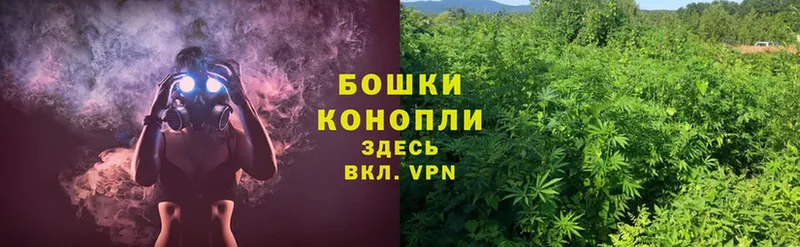 Каннабис White Widow  Горняк 